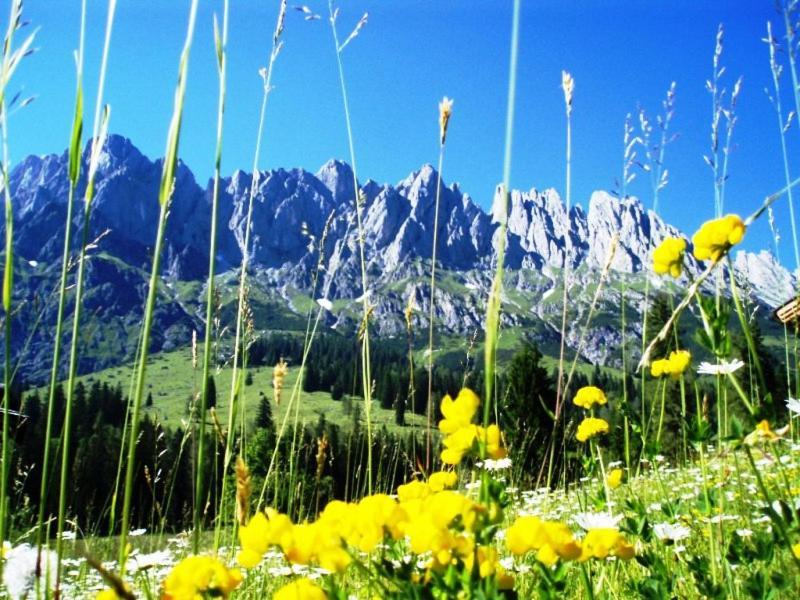 Gaestehaus Gschwandtner Mühlbach am Hochkönig Zewnętrze zdjęcie